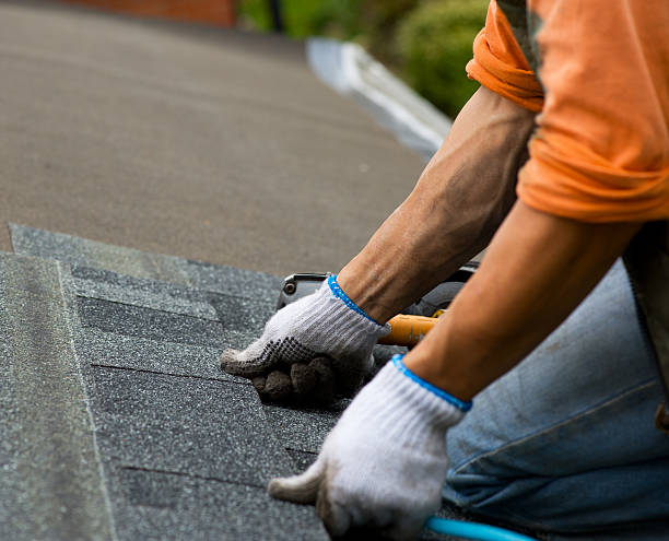 Best Storm Damage Roof Repair  in Flemington, NJ